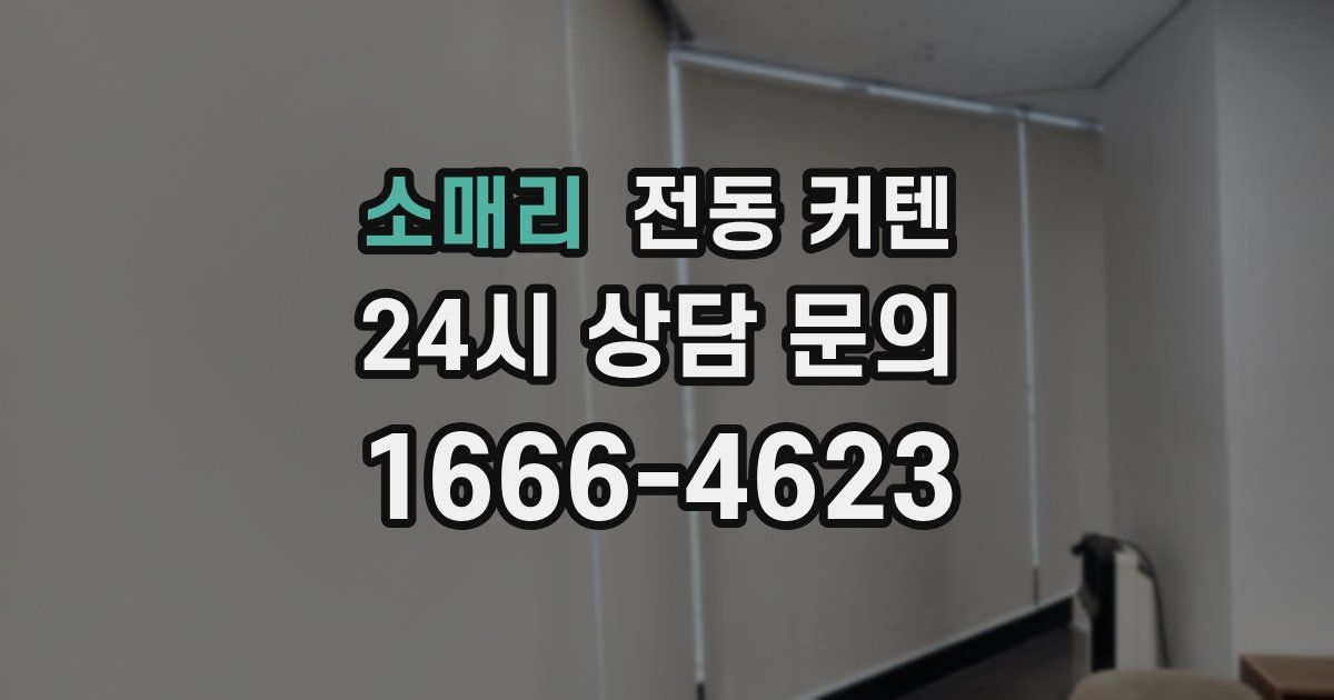 소매리 전동 커텐