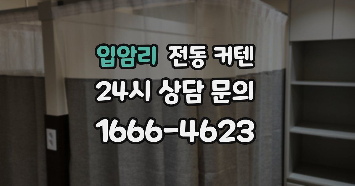 입암리 전동 커텐