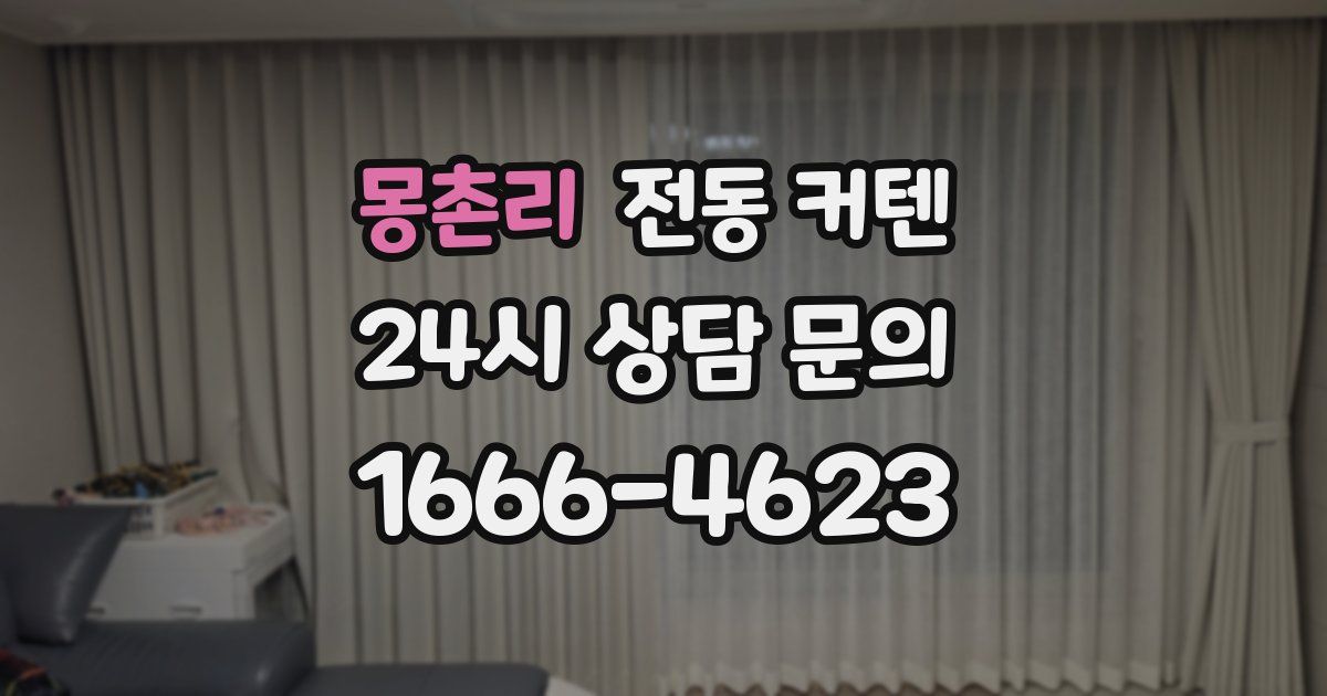 몽촌리 전동 커텐