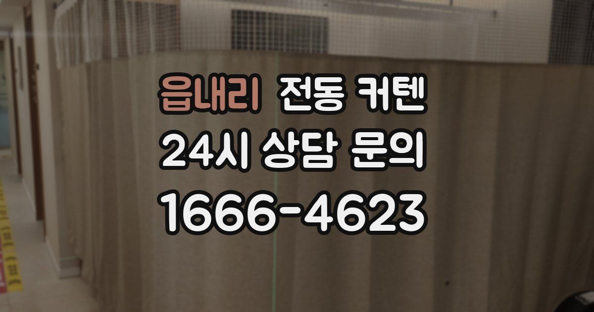읍내리 전동 커텐