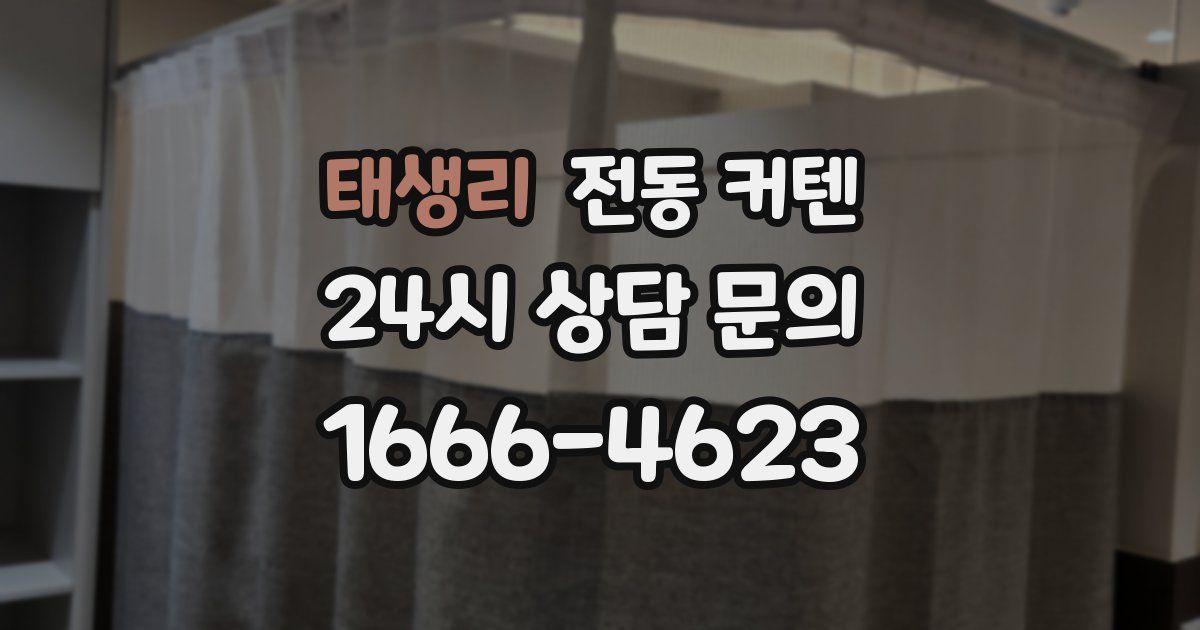 태생리 전동 커텐