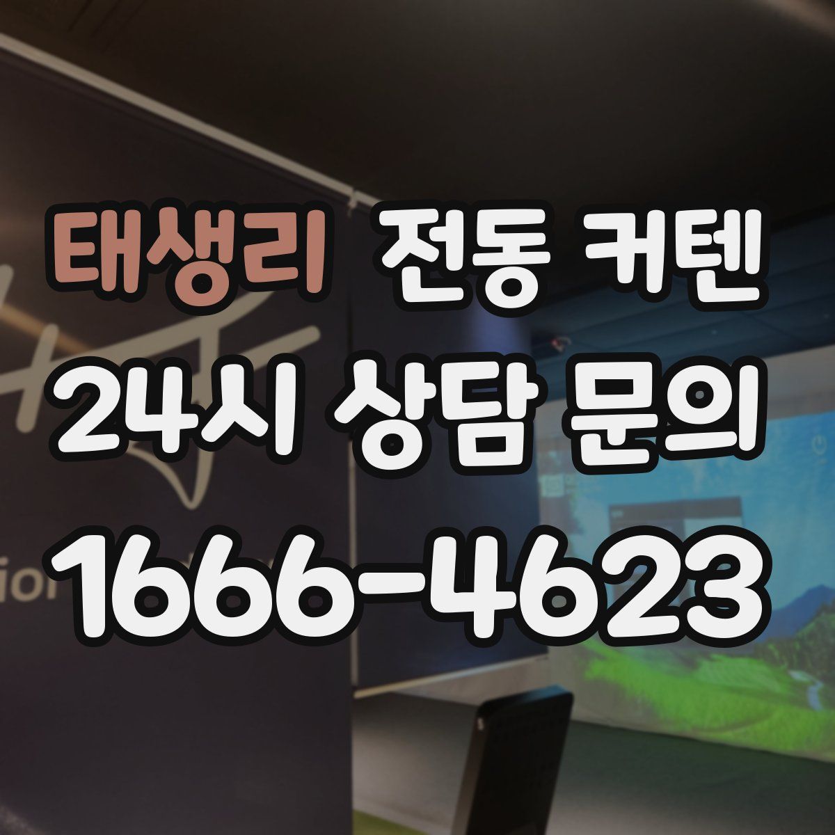 태생리 전동 커텐