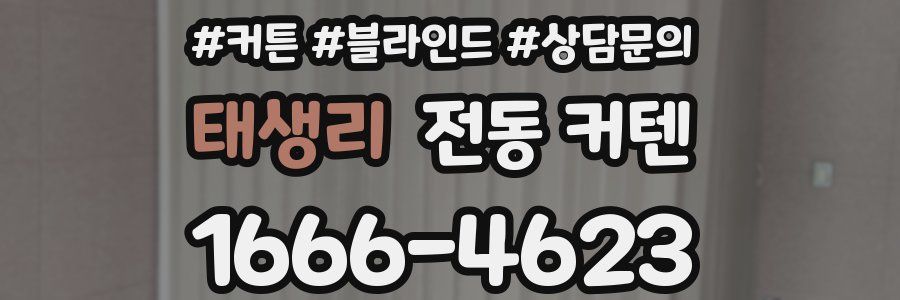 태생리 전동 커텐
