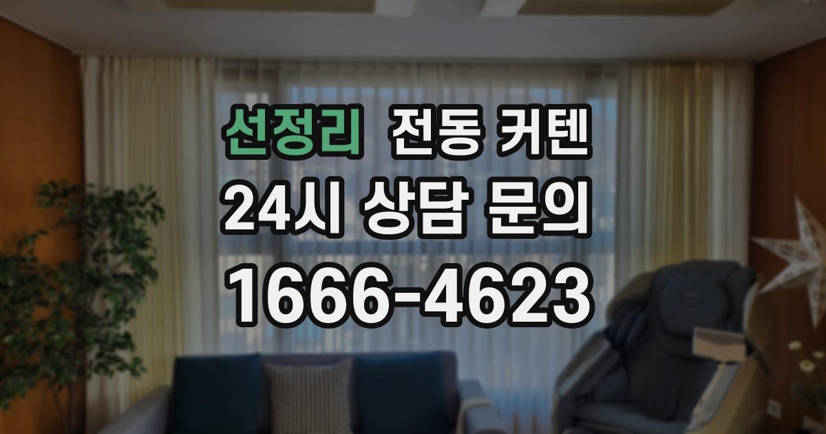 선정리 전동 커텐