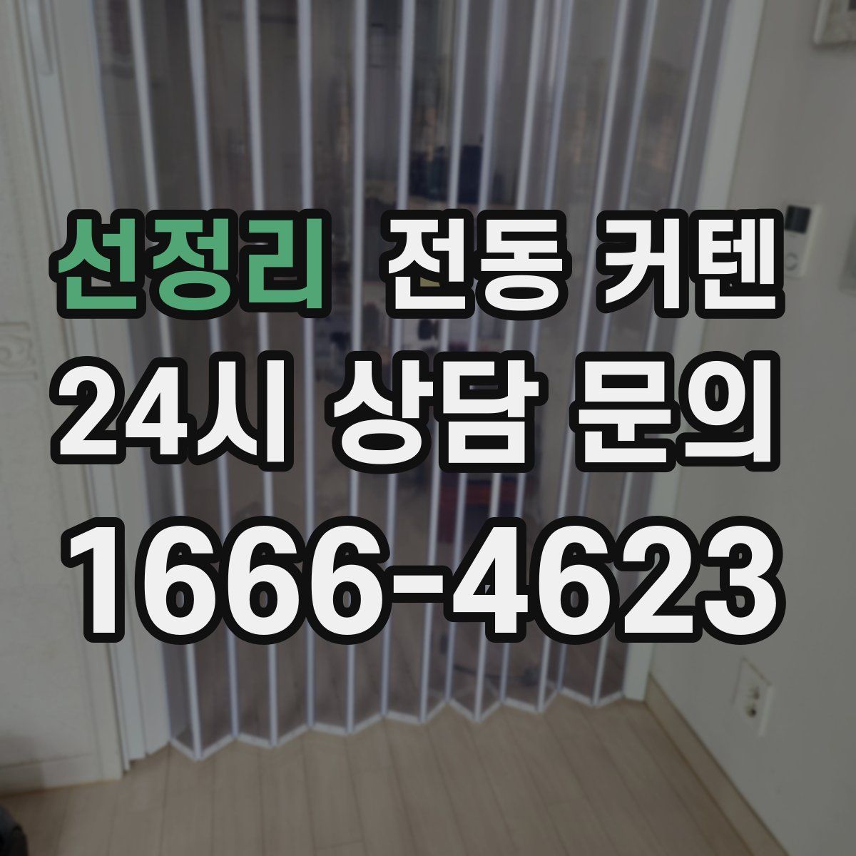 선정리 전동 커텐