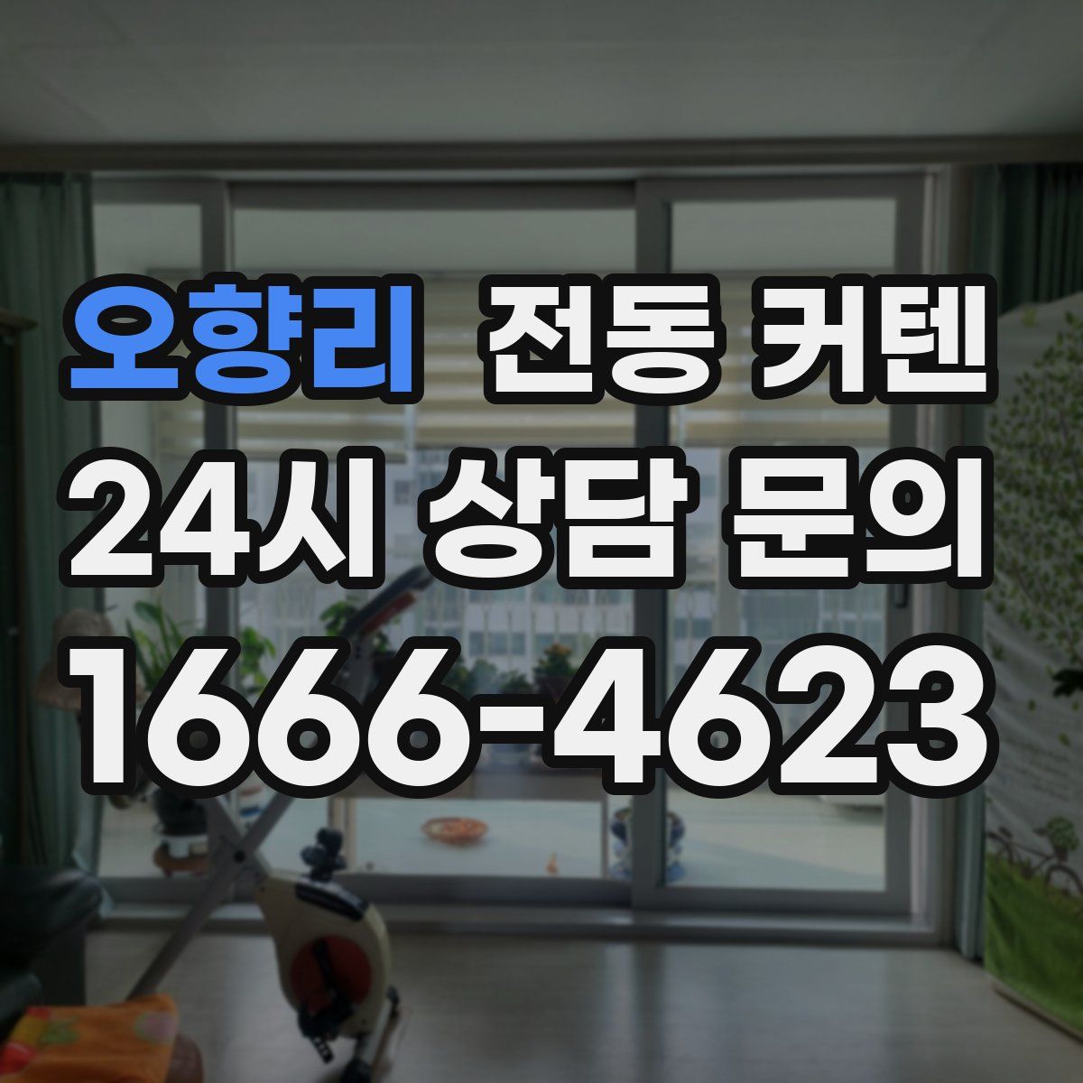 오향리 전동 커텐