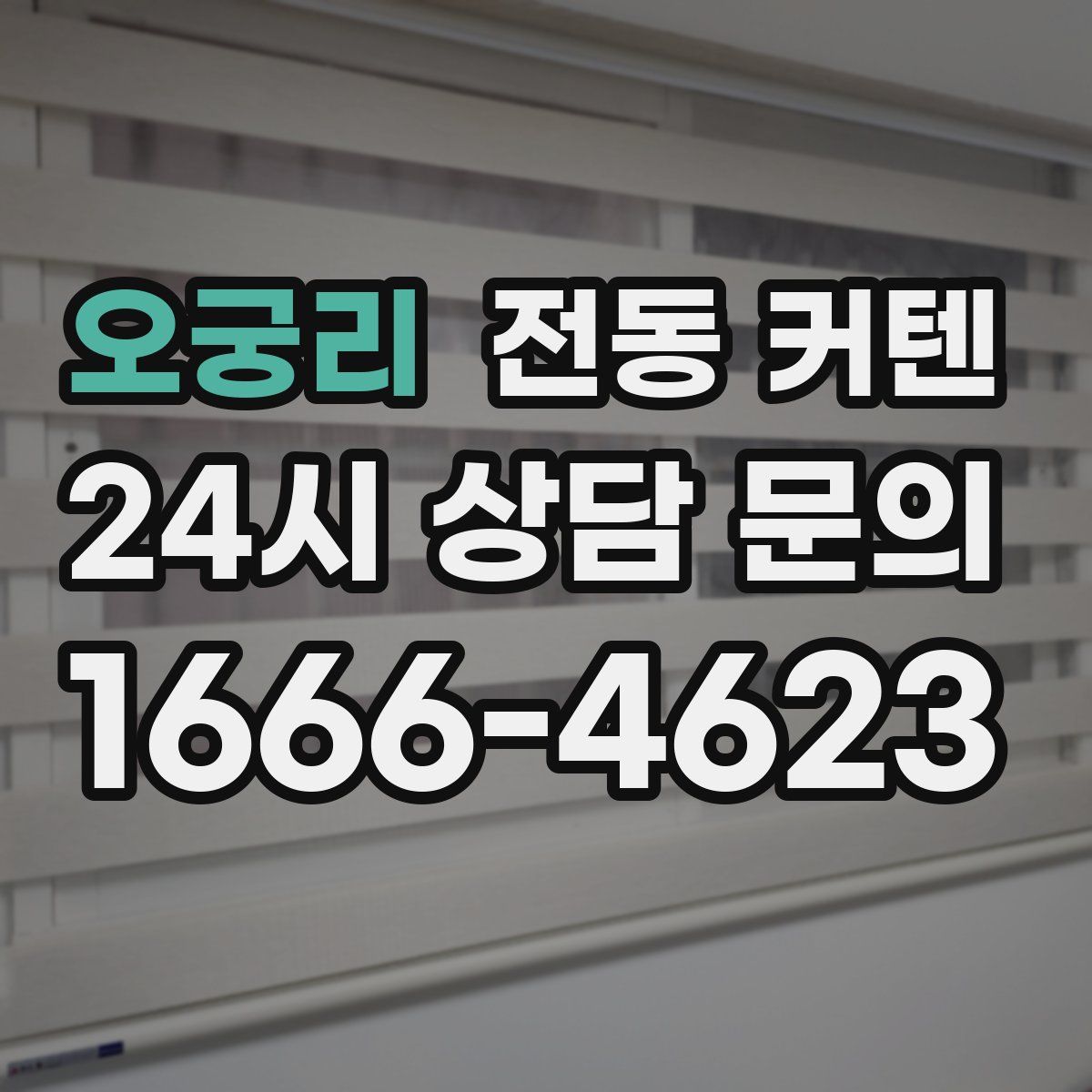 오궁리 전동 커텐