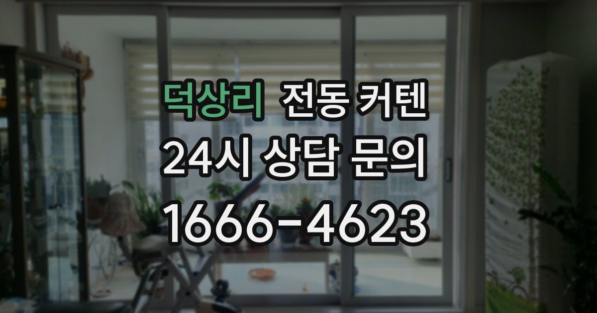 덕상리 전동 커텐