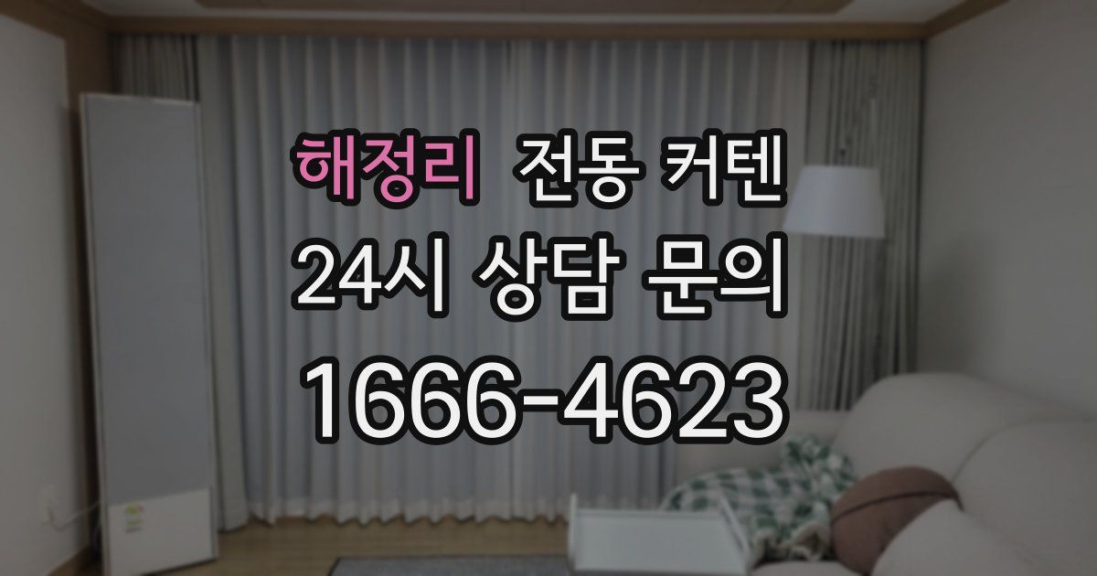 해정리 전동 커텐