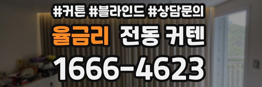 율금리 전동 커텐