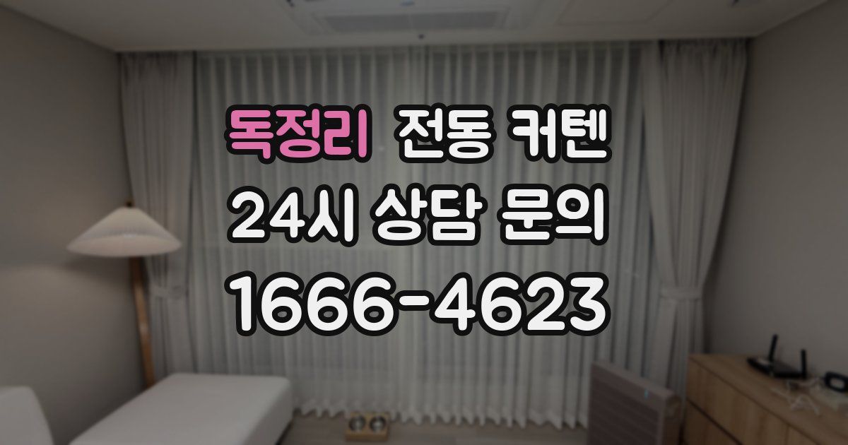 독정리 전동 커텐