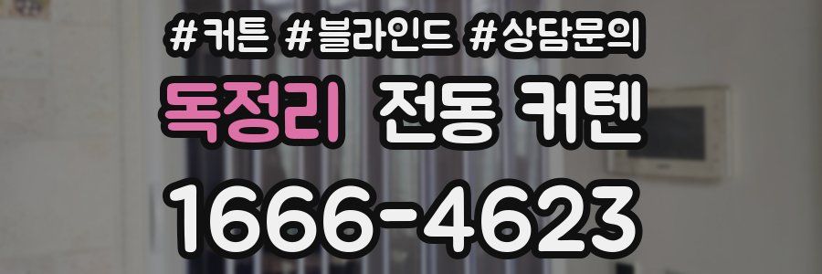 독정리 전동 커텐
