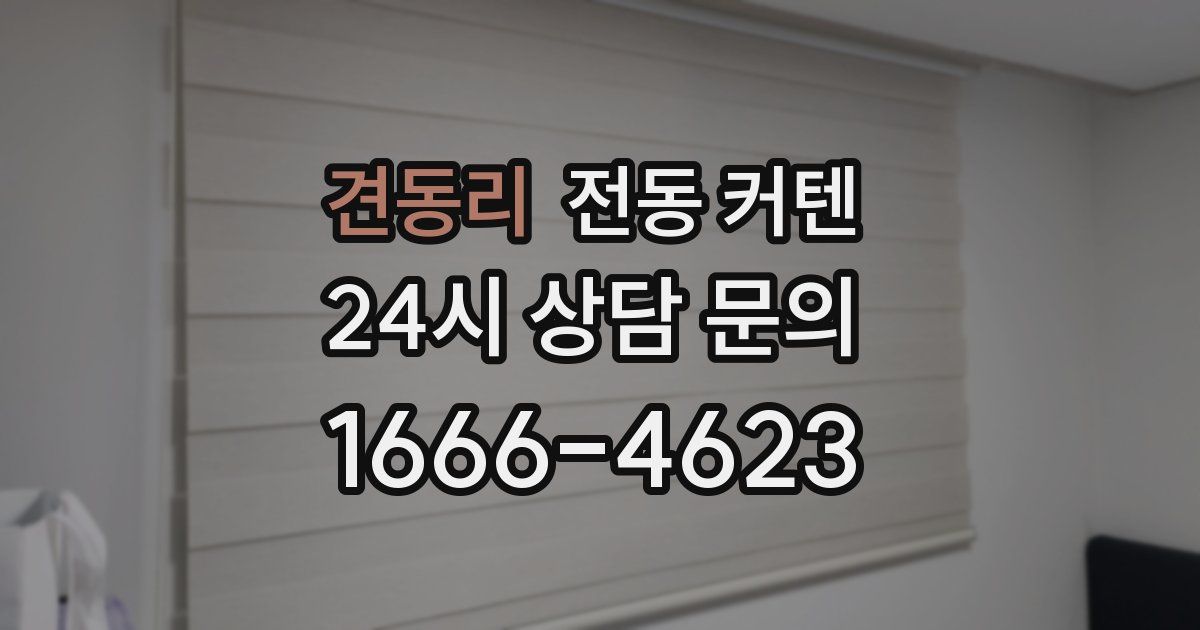 견동리 전동 커텐