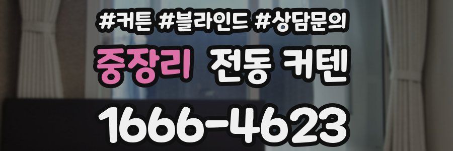 중장리 전동 커텐
