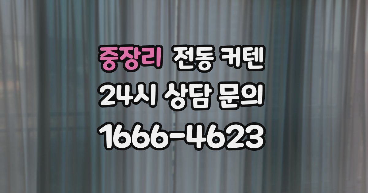 중장리 전동 커텐