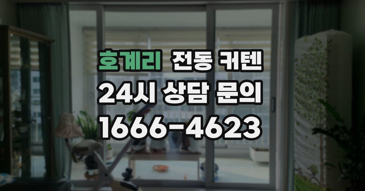 호계리 전동 커텐