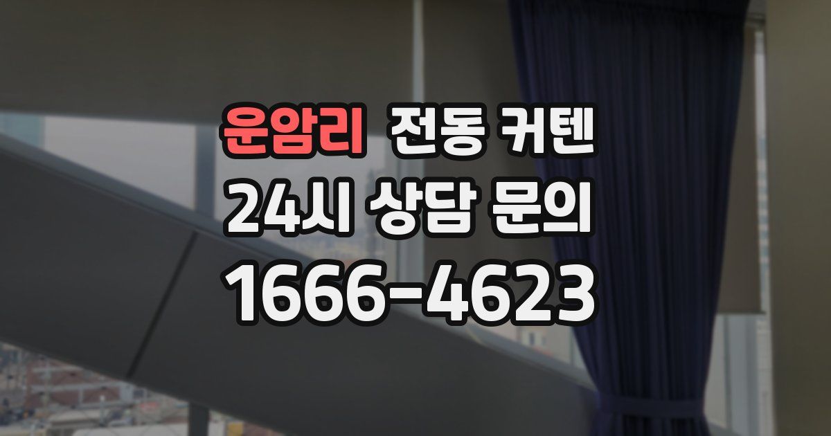 운암리 전동 커텐