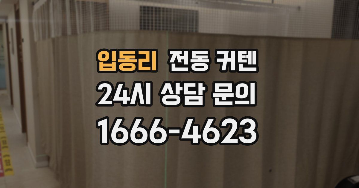 입동리 전동 커텐