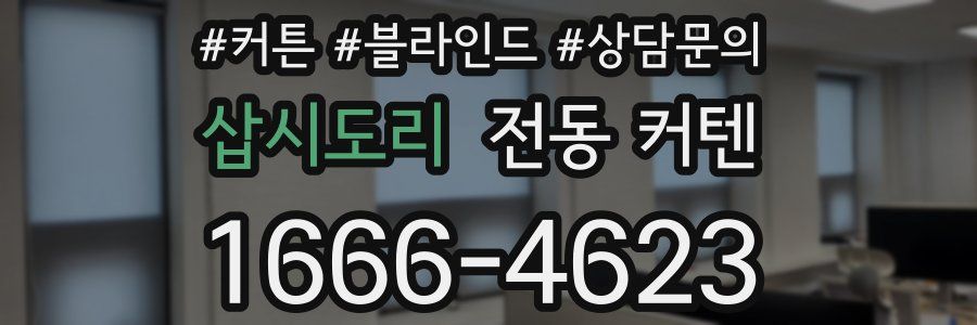 삽시도리 전동 커텐