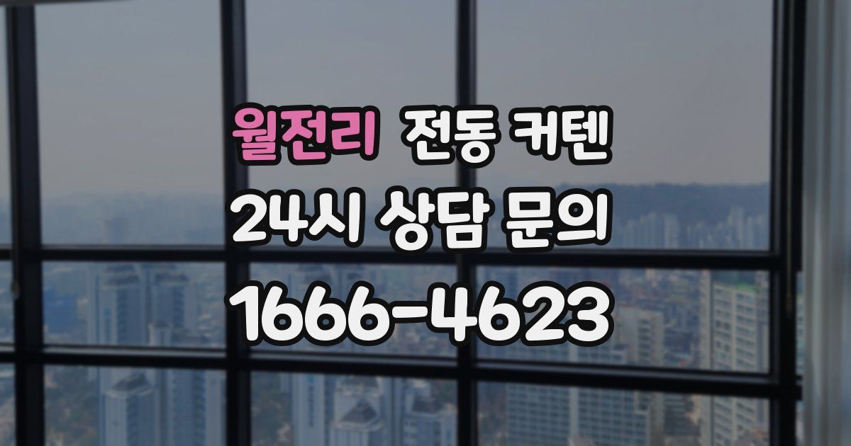 월전리 전동 커텐