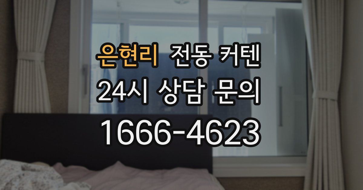 은현리 전동 커텐