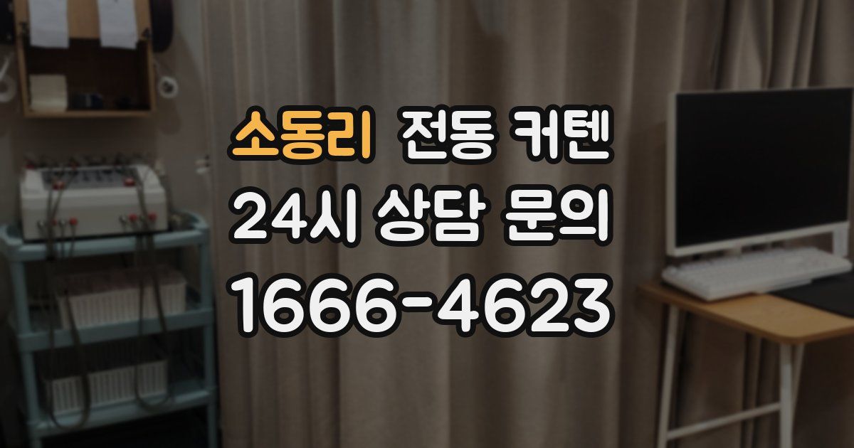 소동리 전동 커텐