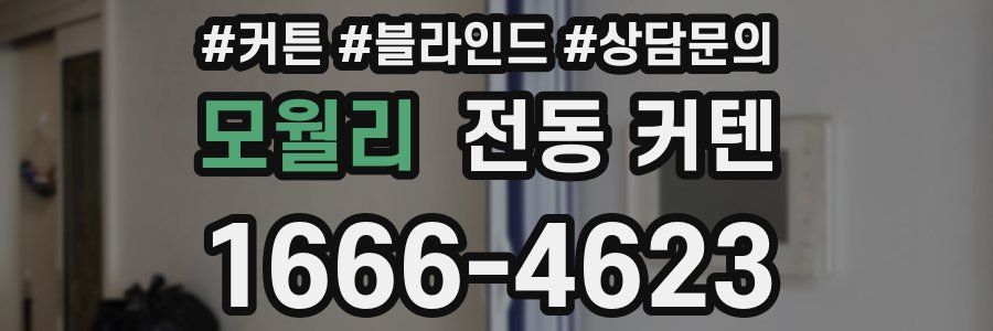 모월리 전동 커텐