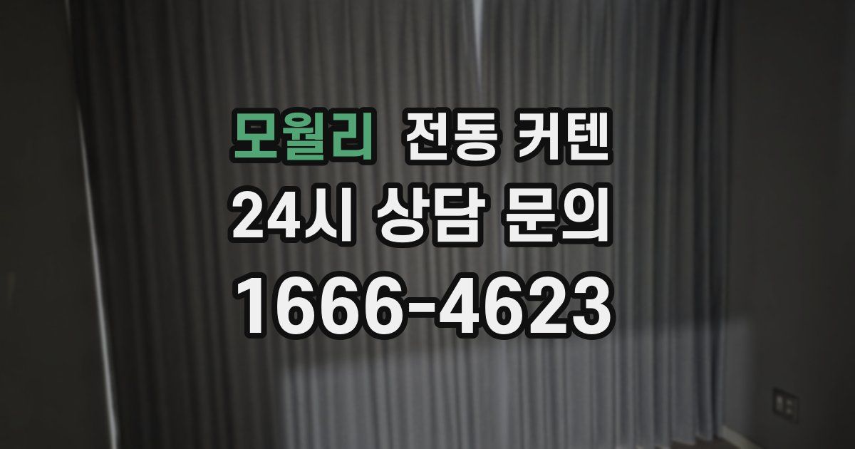 모월리 전동 커텐