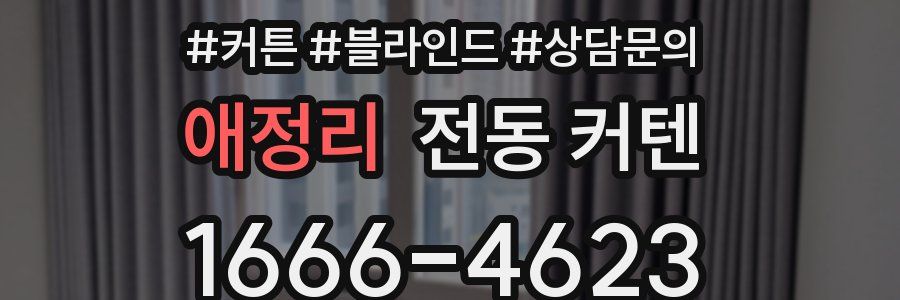 애정리 전동 커텐