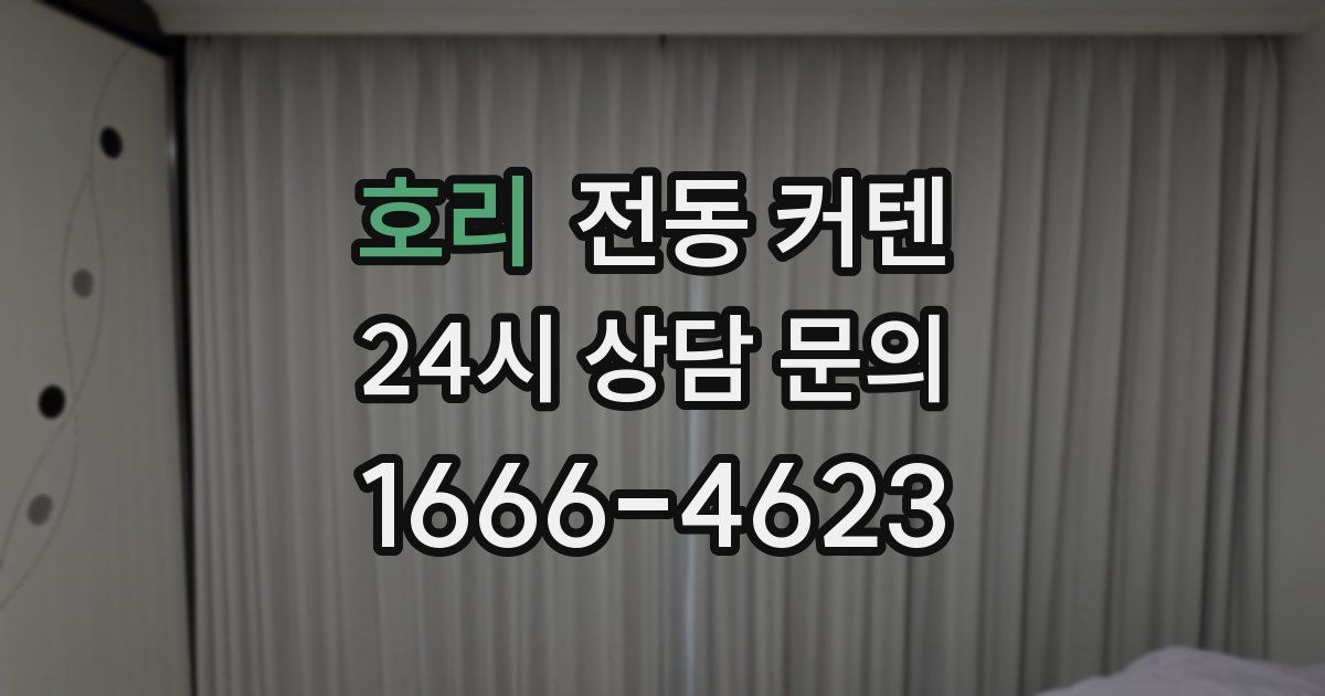 호리 전동 커텐