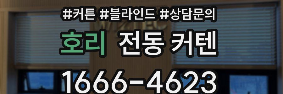 호리 전동 커텐