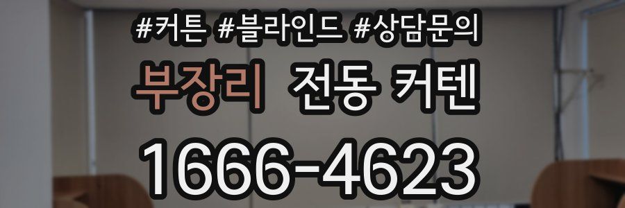부장리 전동 커텐