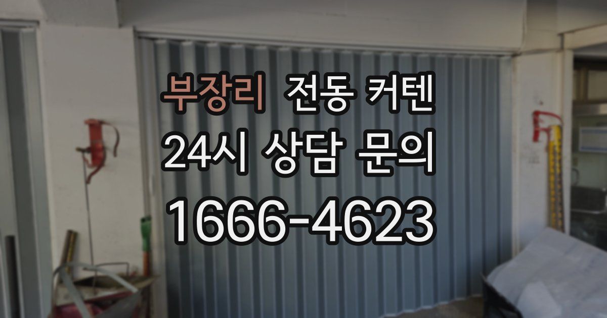 부장리 전동 커텐