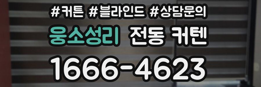 웅소성리 전동 커텐