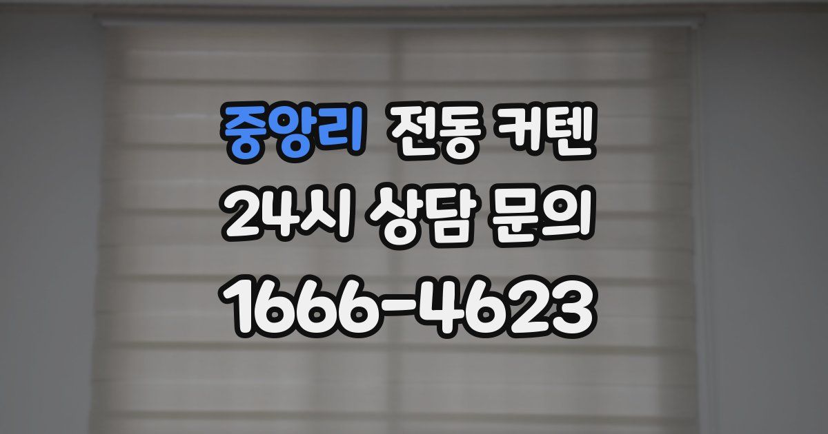 중앙리 전동 커텐