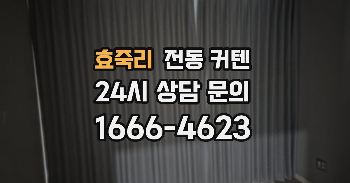 효죽리 전동 커텐