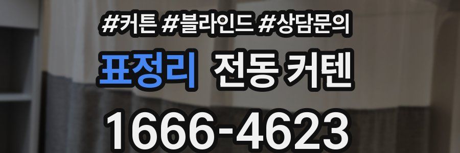 표정리 전동 커텐