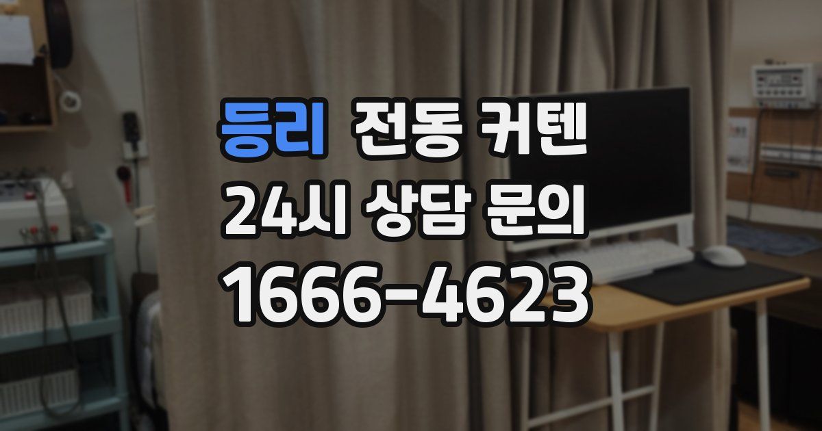 등리 전동 커텐