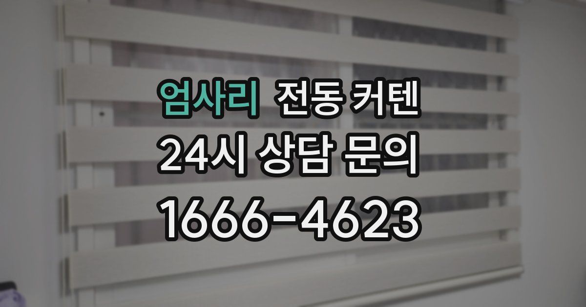 엄사리 전동 커텐