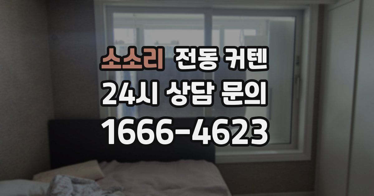 소소리 전동 커텐