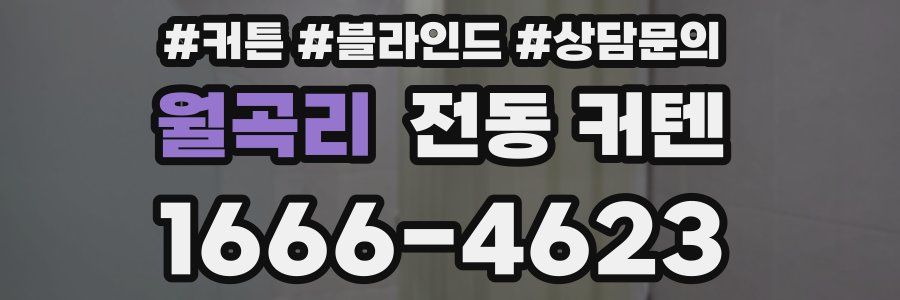 월곡리 전동 커텐