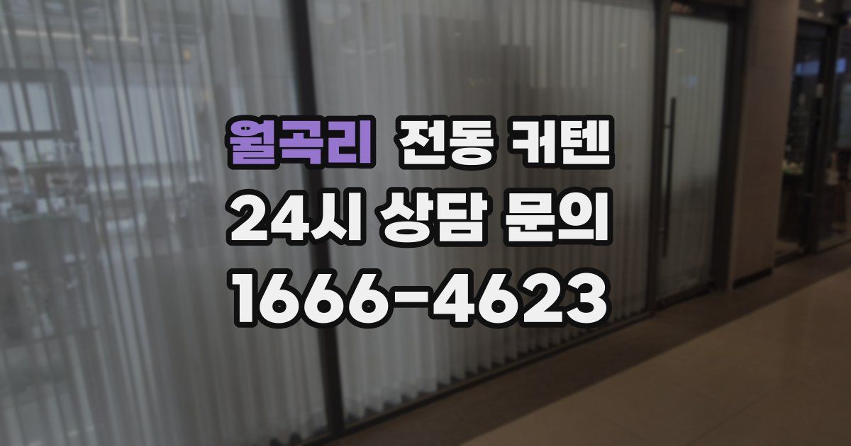 월곡리 전동 커텐