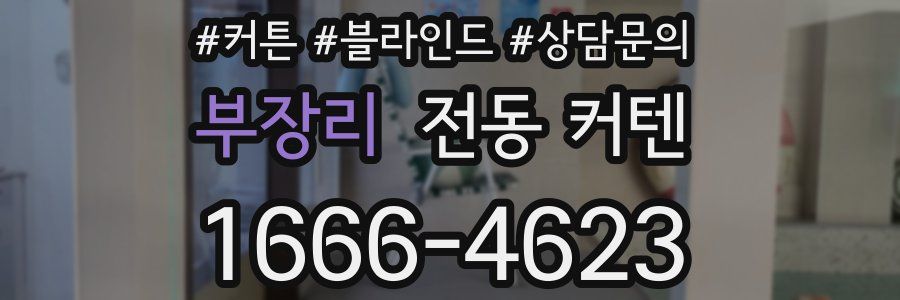 부장리 전동 커텐