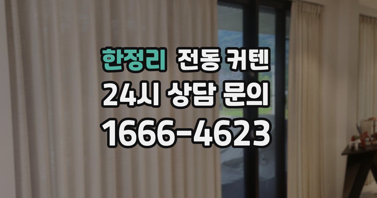 한정리 전동 커텐