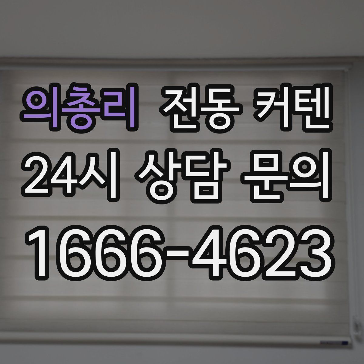 의총리 전동 커텐