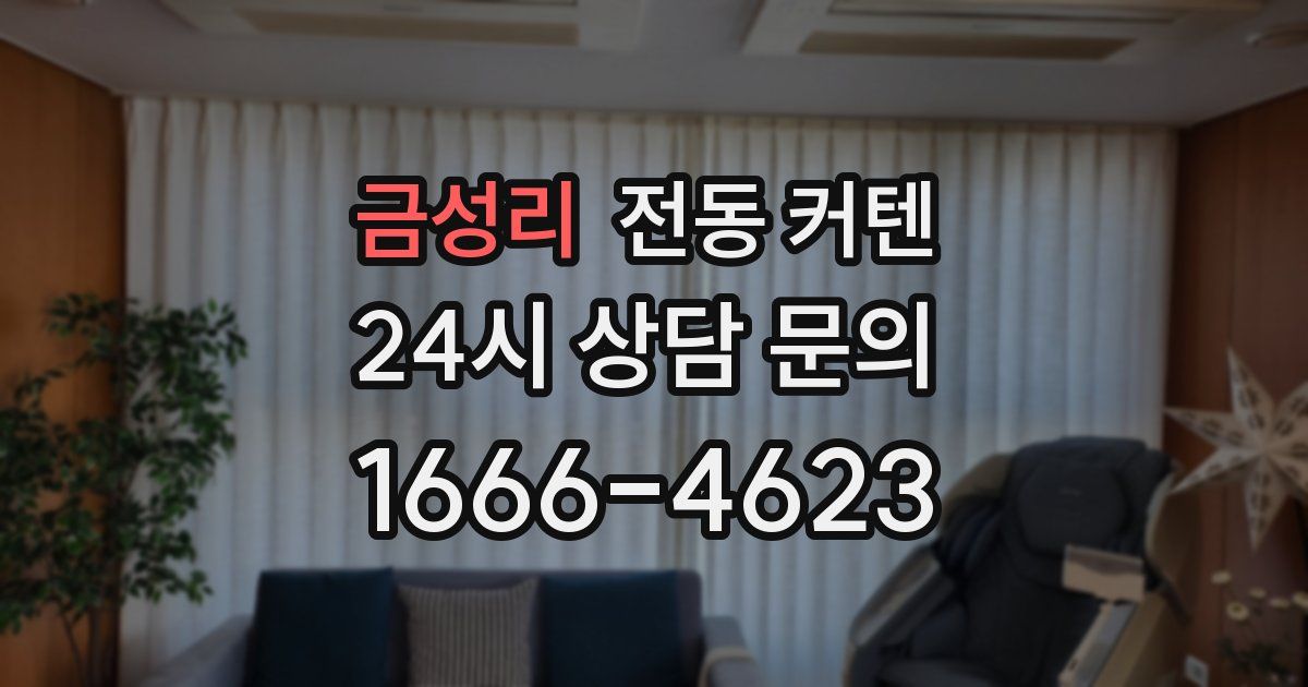 금성리 전동 커텐