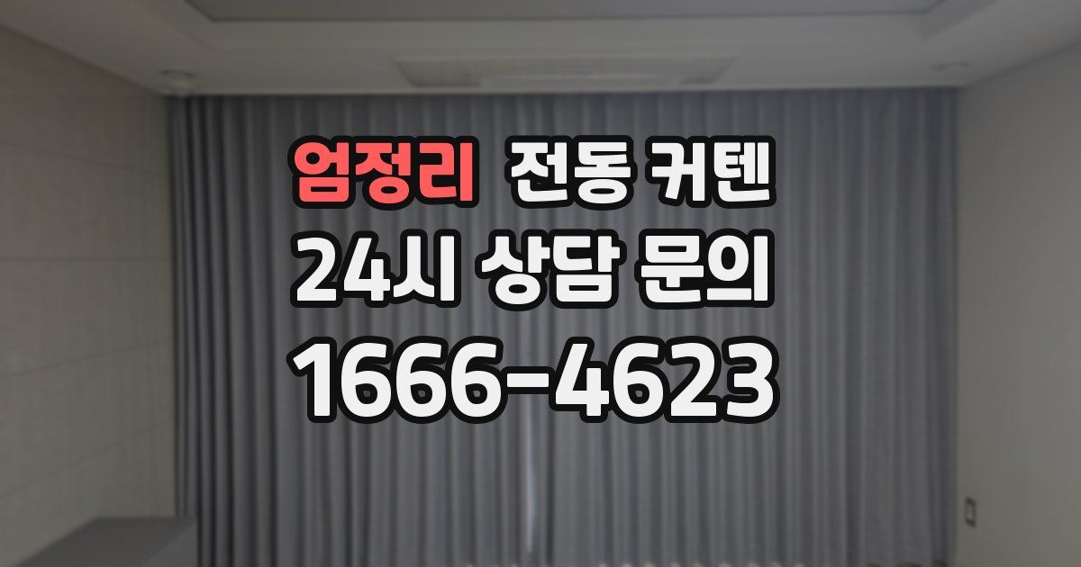 엄정리 전동 커텐