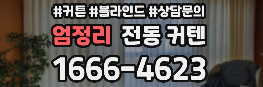 엄정리 전동 커텐