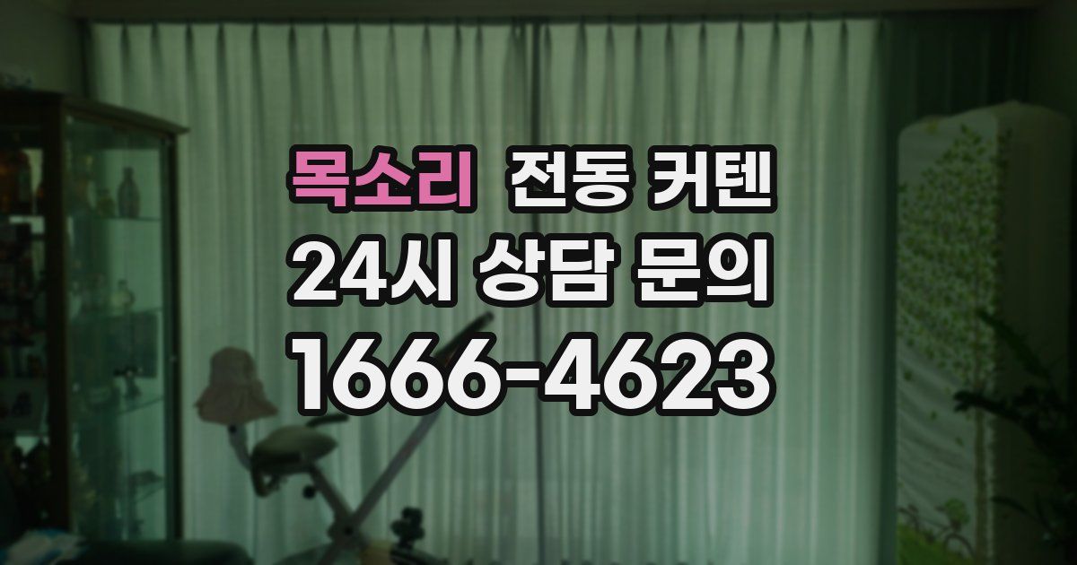 목소리 전동 커텐