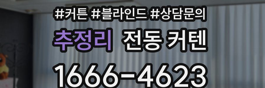 추정리 전동 커텐